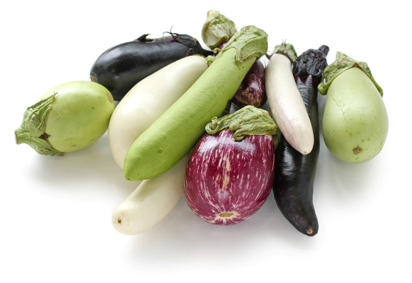 Was ist Aubergine, was ist das? Fruchtgemüse Definition, Warenkunde