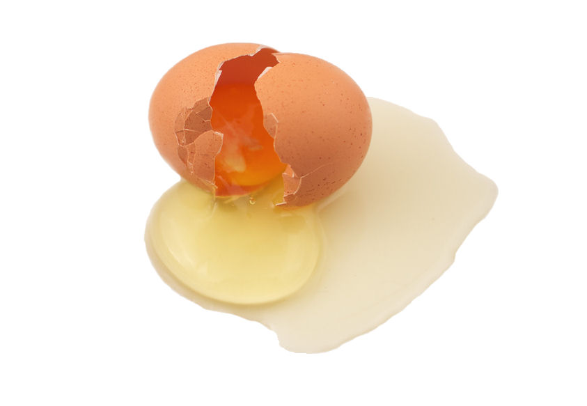 Was versteht man unter einem Ei?