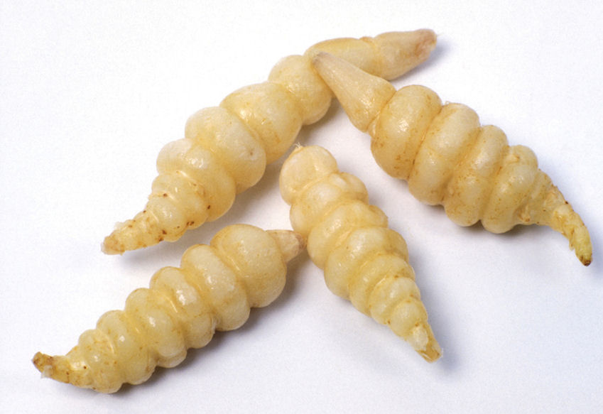 k0000440-85.747938751472