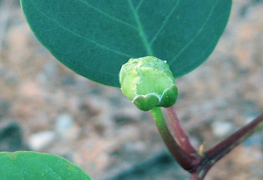 k0000680-85.747938751472