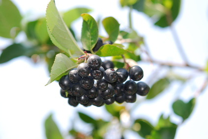 a0000050-172.10401891253