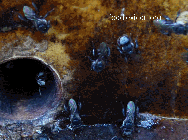 a0001770-189.58333333333