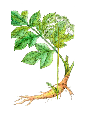 a0002560-242.66666666667