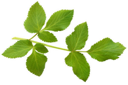 a0002560-171.69811320755