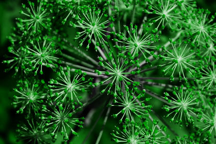 a0002560-172.10401891253