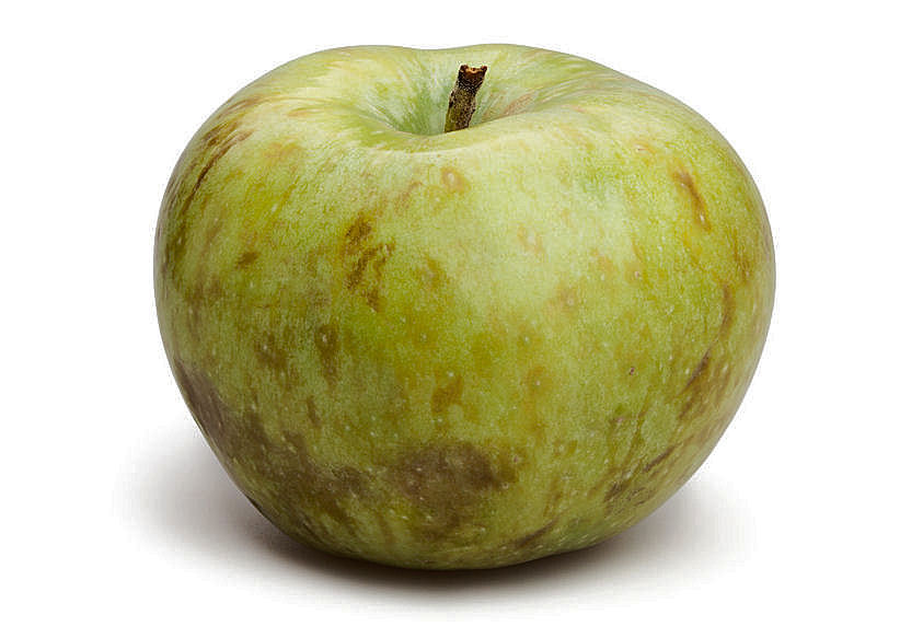 sch02150-86.358244365362