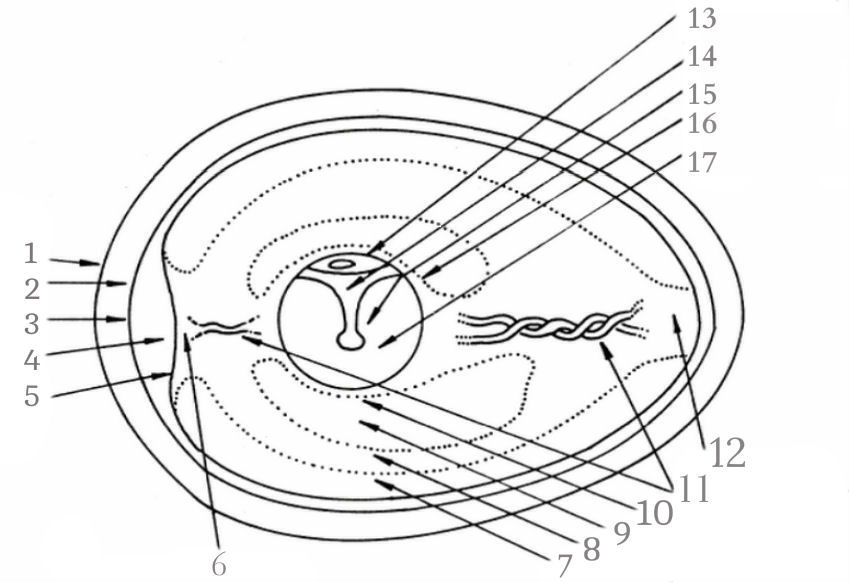 e0000140-85.747938751472