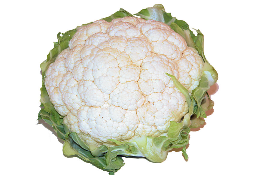 b0000220-85.747938751472