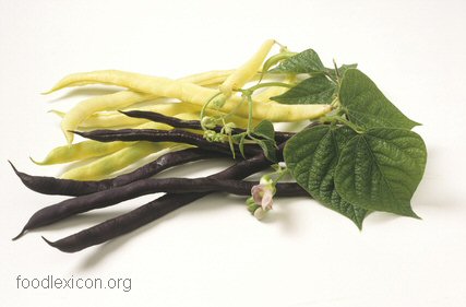 b0000230-170.49180327869