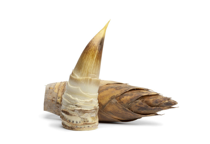 b0000260-85.747938751472