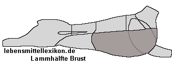 b0000580-205.64971751412