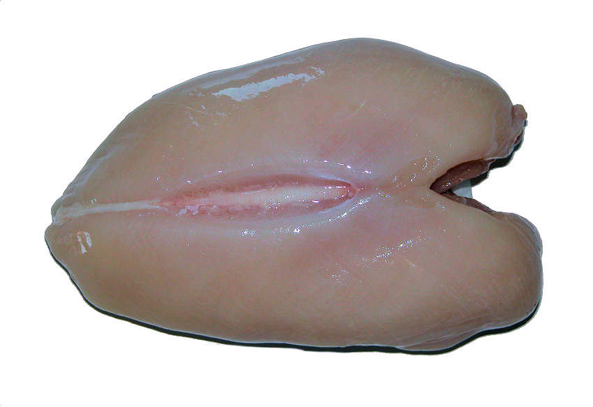 b0000610-85.747938751472