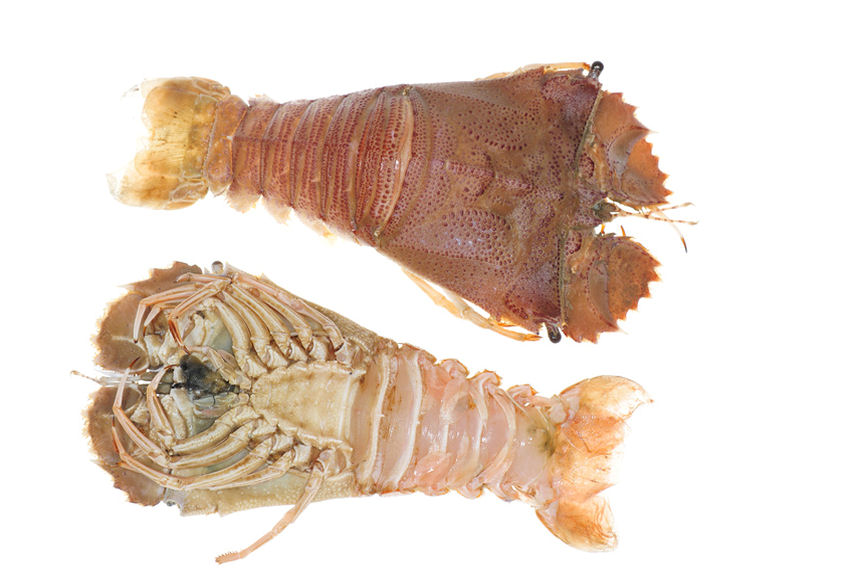 b0000660-85.747938751472