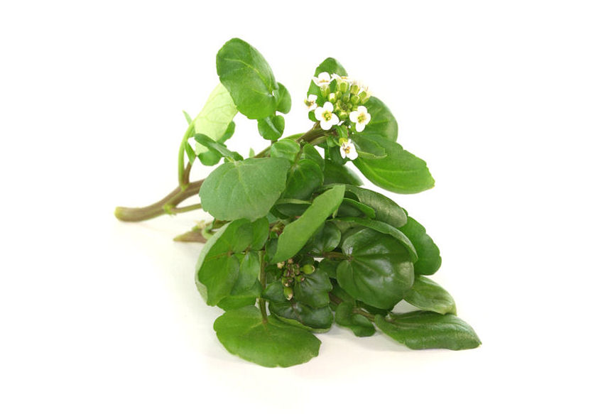 b0002120-85.747938751472