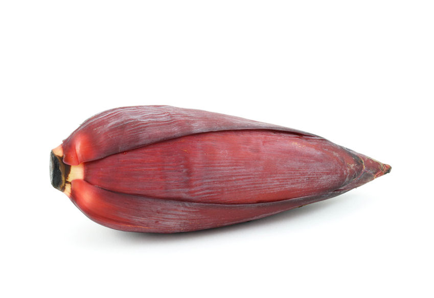 b0004200-85.747938751472