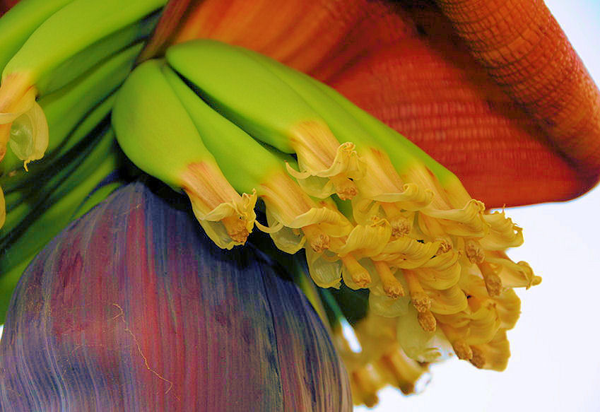 b0004200-85.747938751472