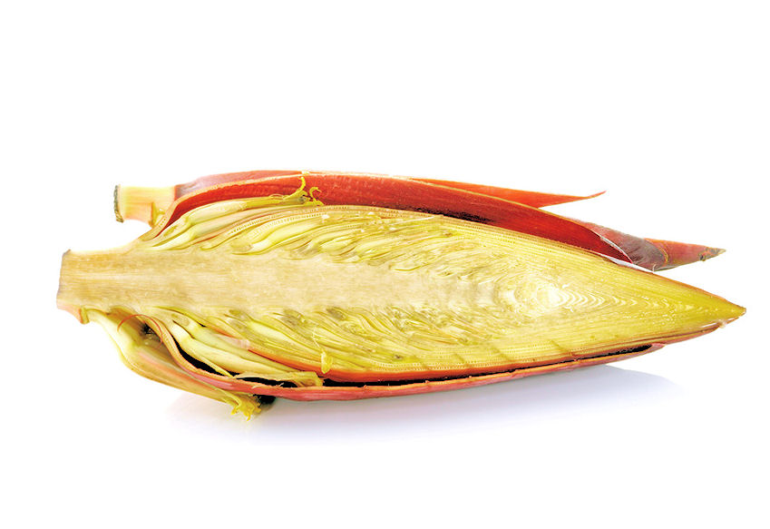 b0004200-85.747938751472