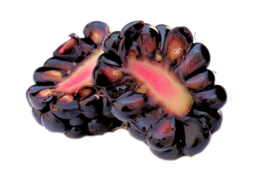 b0002650-85.747938751472