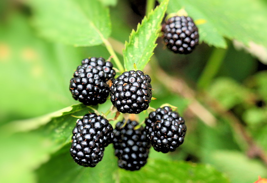 b0002650-85.747938751472