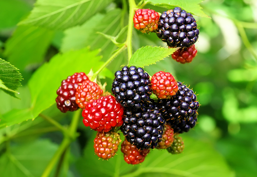 b0002650-85.747938751472