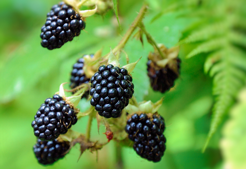 b0002650-85.747938751472