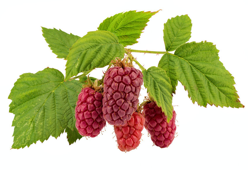 b0002650-85.747938751472