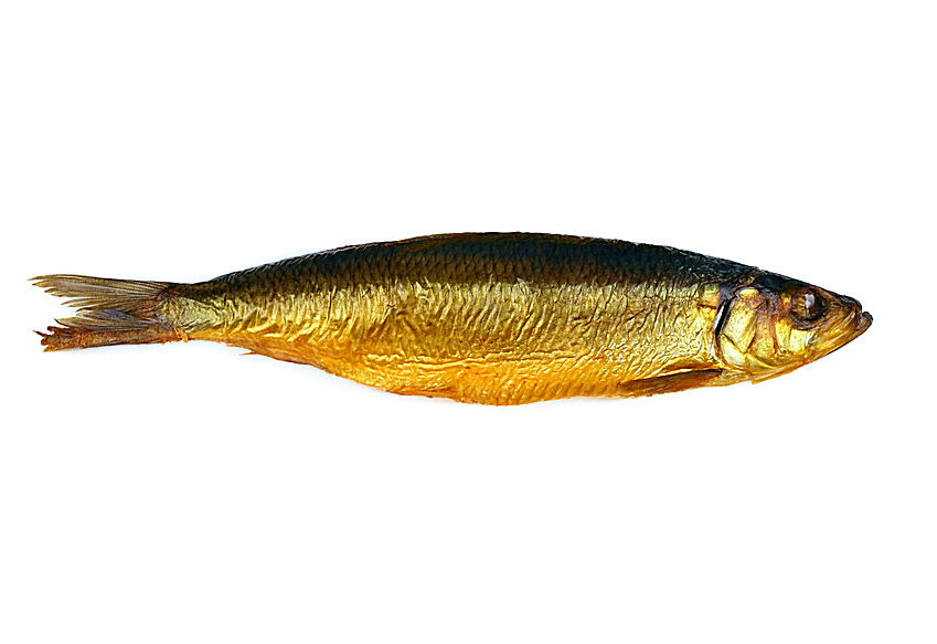 b0000800-85.747938751472