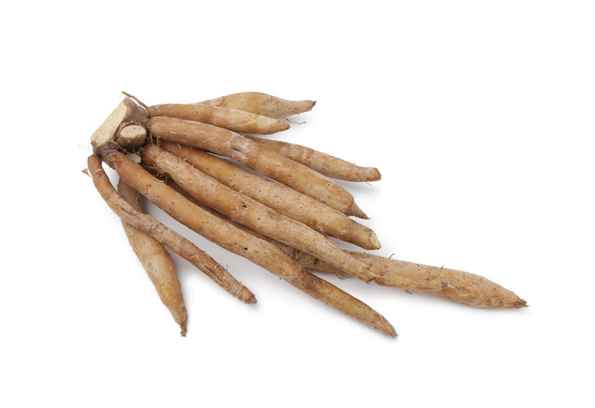 c0002600-85.747938751472