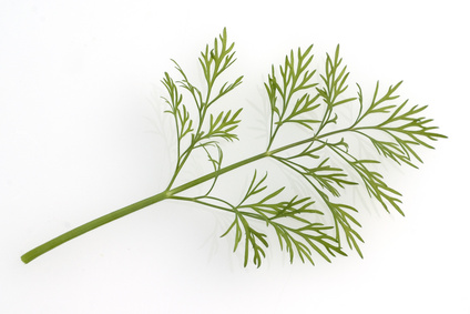 d0000480-171.69811320755