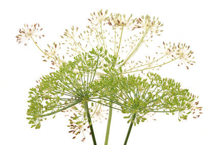 d0000480-172.10401891253