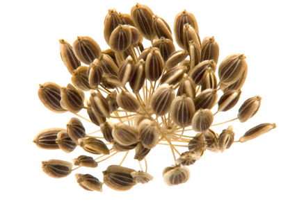 d0000480-180.19801980198