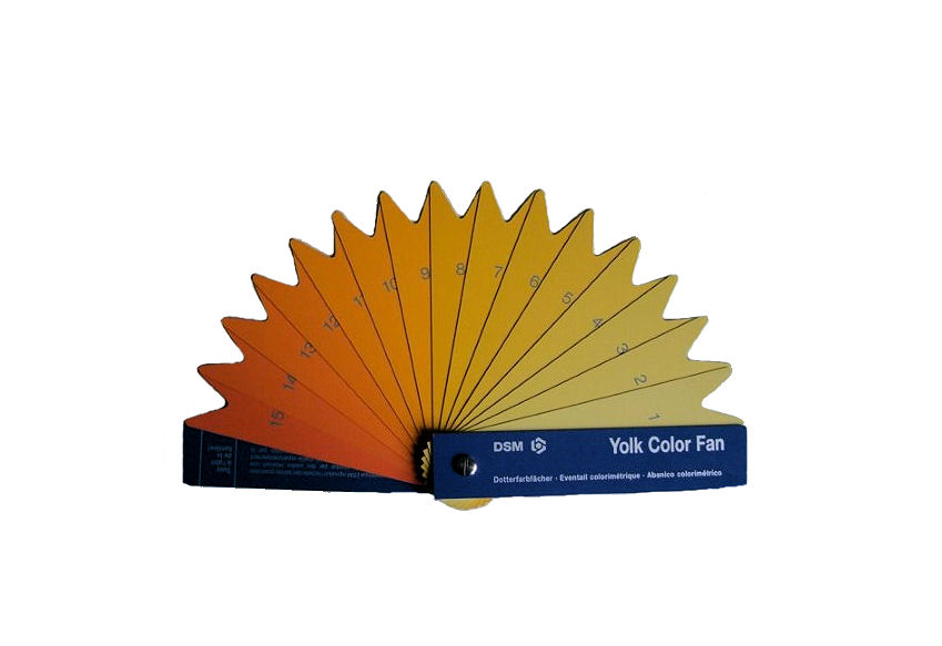 e0000450-85.747938751472