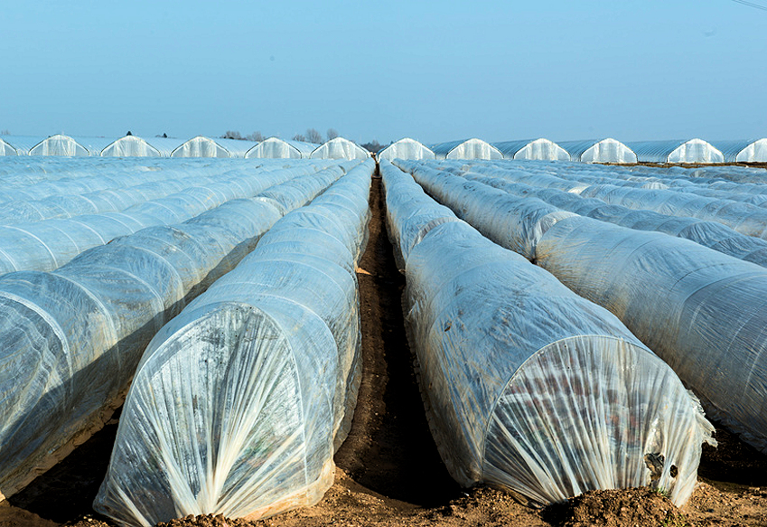 e0000590-85.747938751472