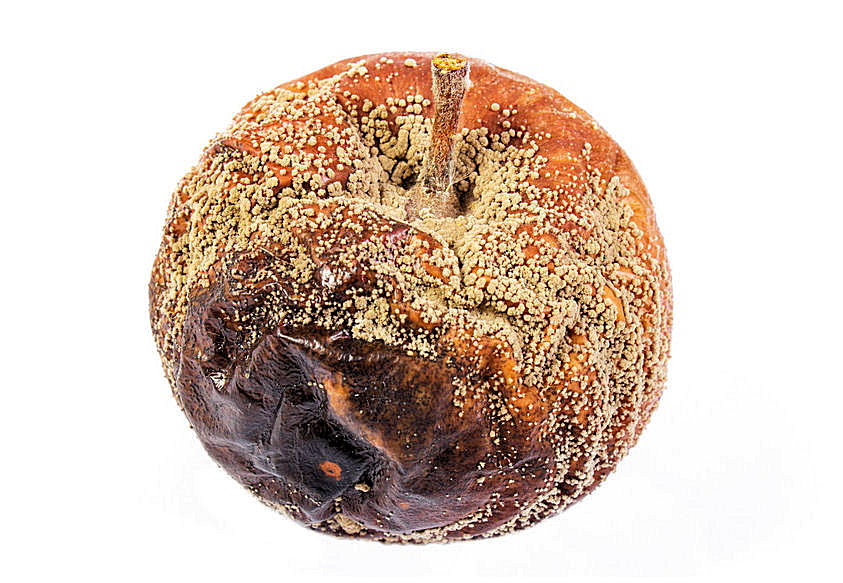 f0003780-86.358244365362