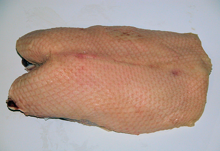 g0000370-85.747938751472