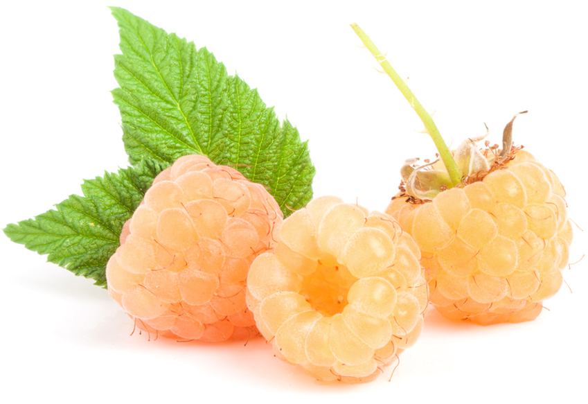 h0001490-85.747938751472