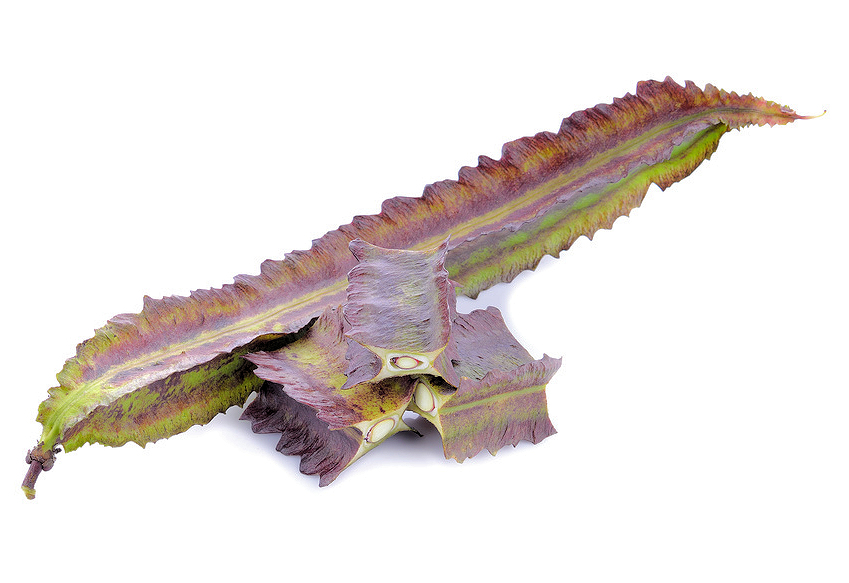 g0002410-85.747938751472