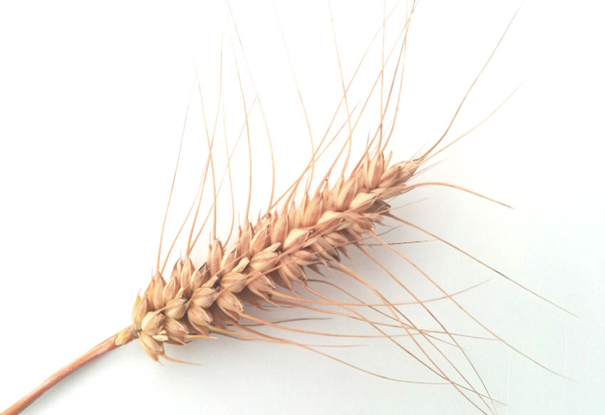 w0000300-85.747938751472