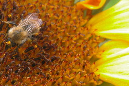 h0000240-171.69811320755