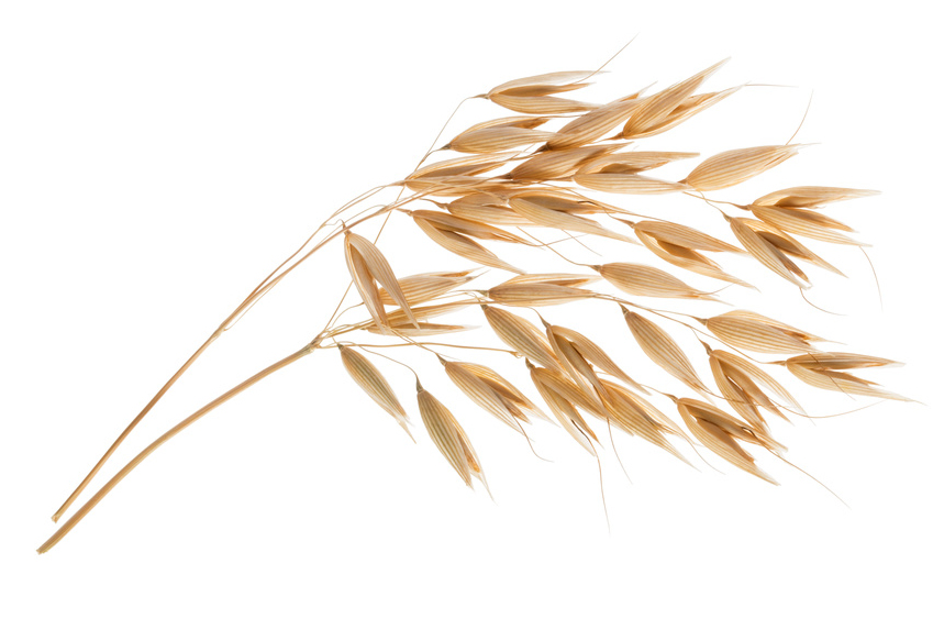 h0000450-85.747938751472