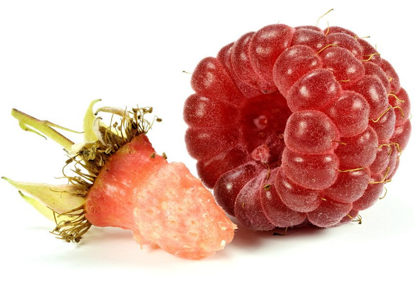 h0001490-85.747938751472