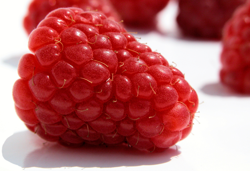 h0001490-85.747938751472