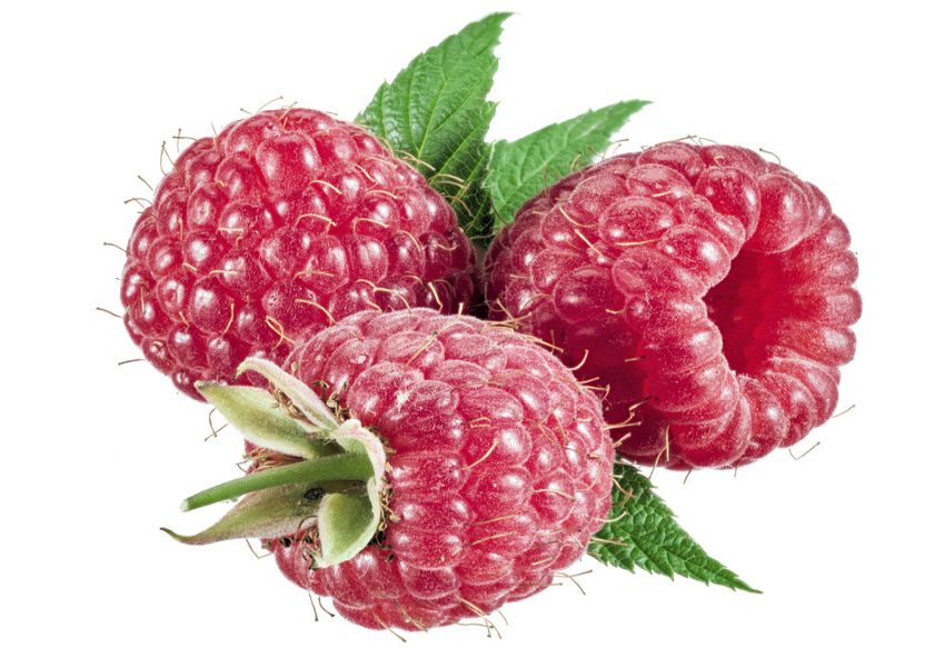 h0001490-85.747938751472