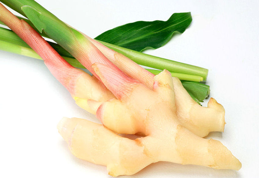 i0000020-85.747938751472