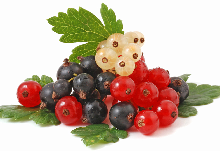 j0000180-85.747938751472