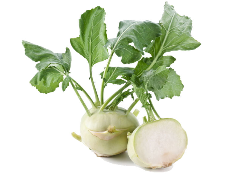 k0000120-86.358244365362