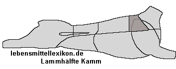 k0000400-205.64971751412