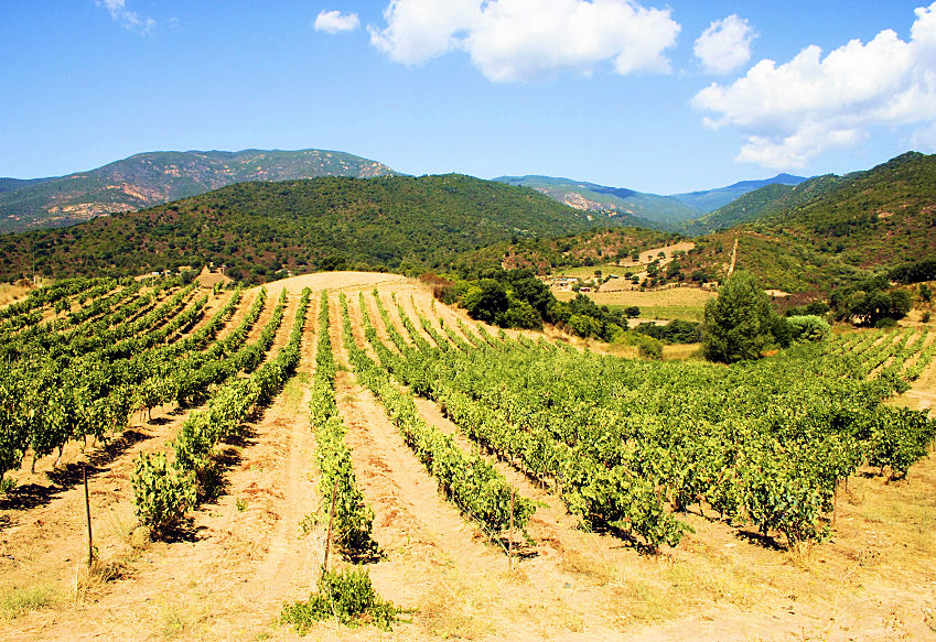 k0003050-85.747938751472