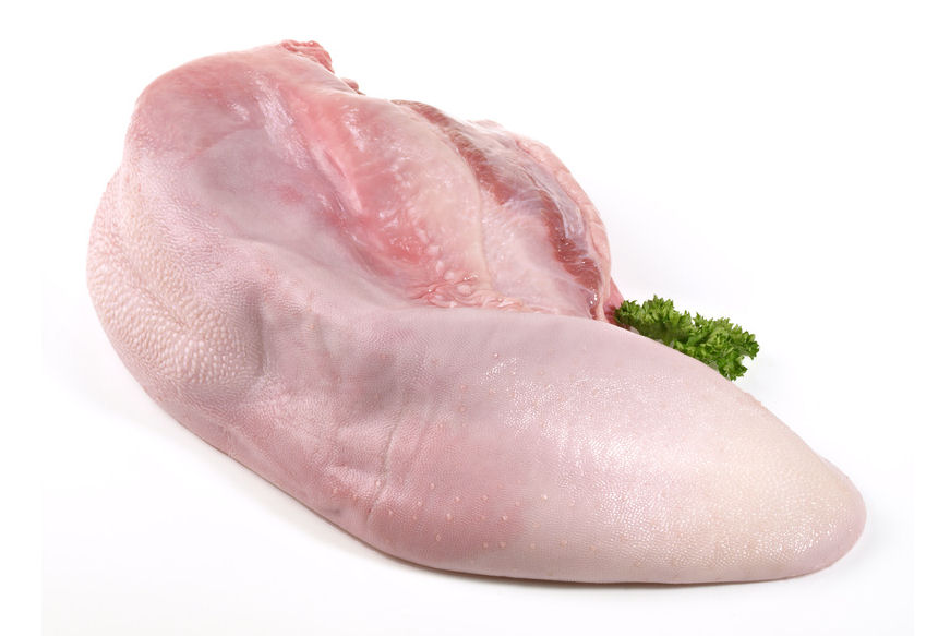 k0004600-85.747938751472