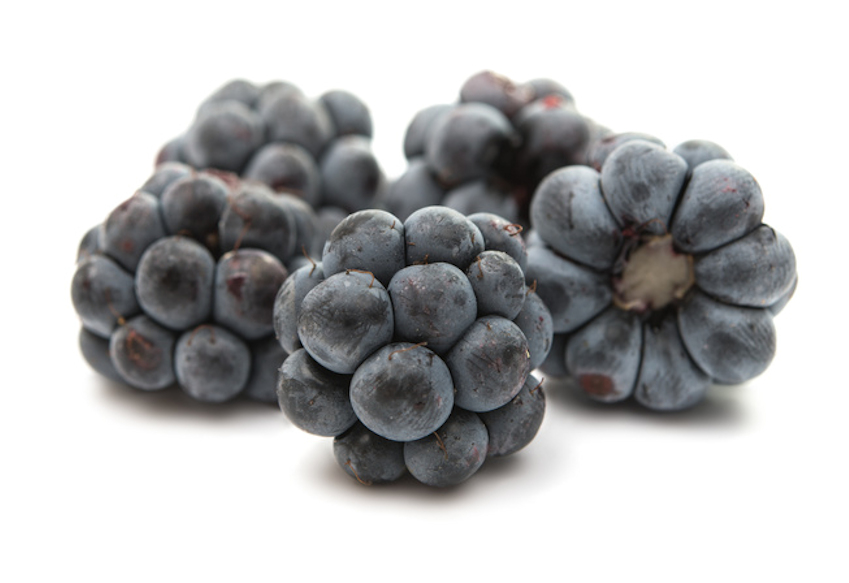 b0002650-85.747938751472